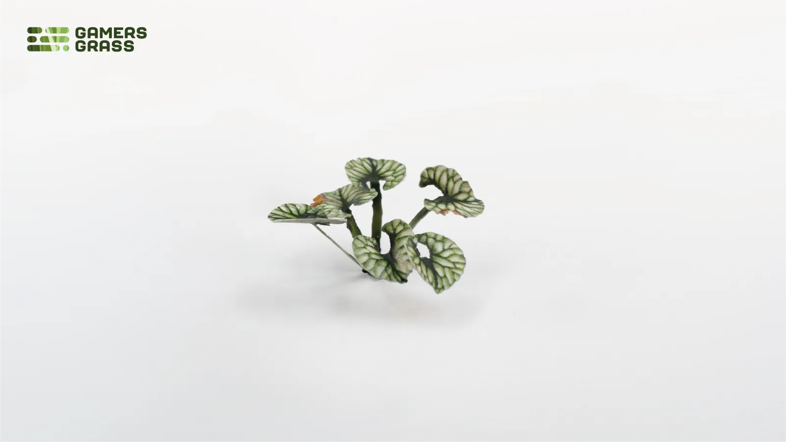 Gamers Grass | Laser Plants | Bugloss