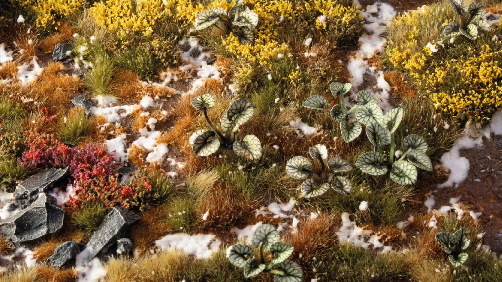 Gamers Grass | Laser Plants | Bugloss