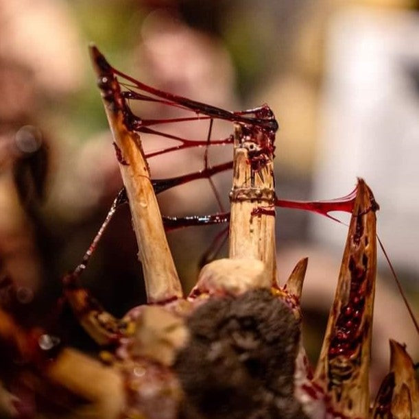 Dirty Down | Basing and Model Effects | Gore