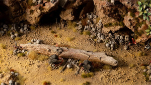 Gamers Grass - Basing Bits - Skulls & Bones