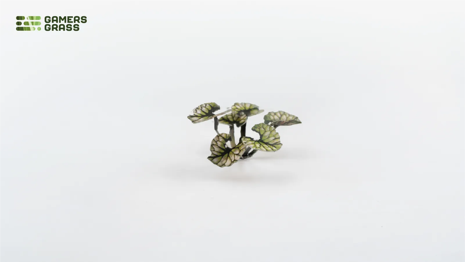 Gamers Grass | Laser Plants | Bugloss