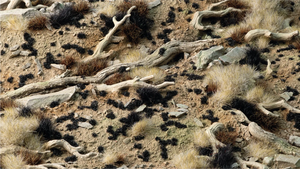 Gamers Grass | Tiny Tufts | Black (1mm)