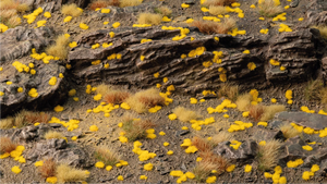 Gamers Grass | Tiny Tufts | Golden (1mm)