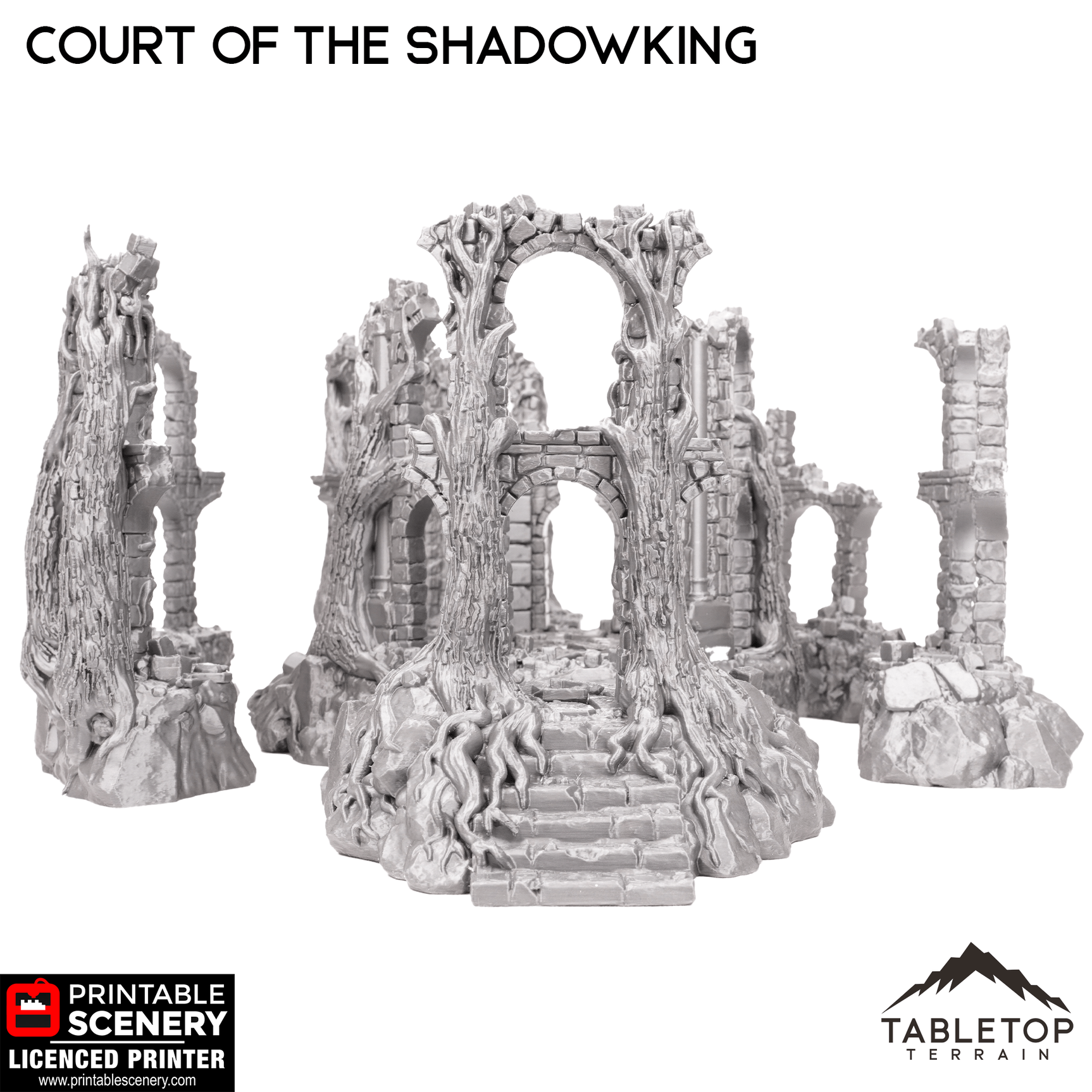 Court of the Shadow King - Fantasy Terrain