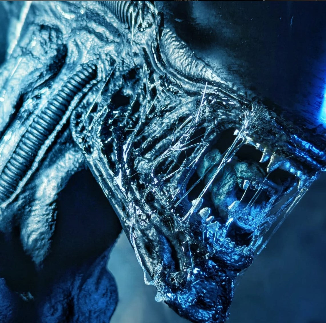 Dirty Down | Basing and Model Effects | Snot