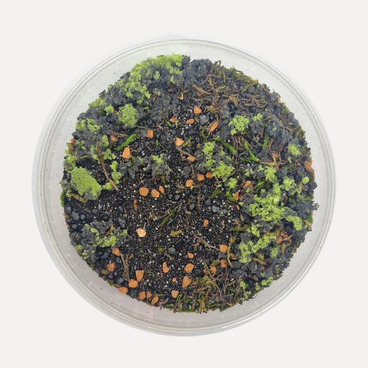 Warground | Basecover | Base X Terrain