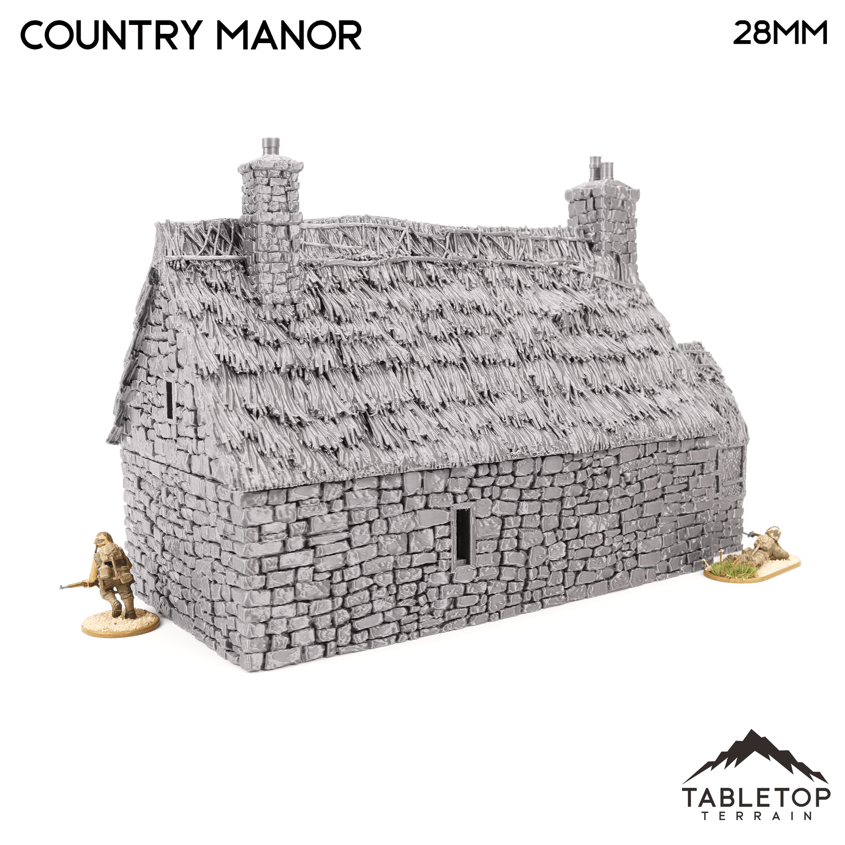 Country Manor - Country & King - Fantasy Historical Building