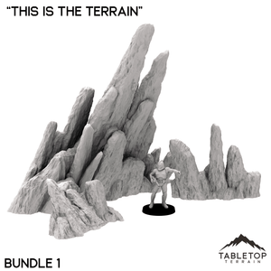 Jagged Rocks - "This Is The Terrain"