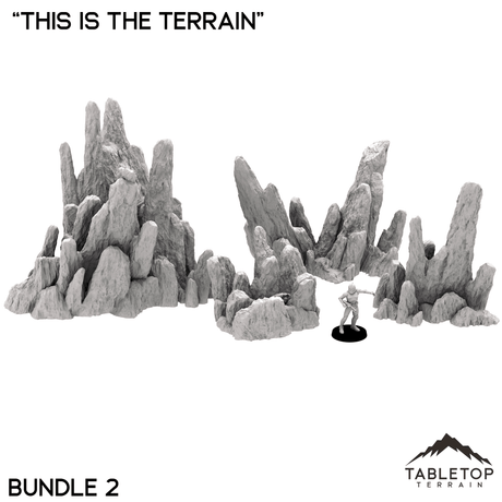 Jagged Rocks - "This Is The Terrain"