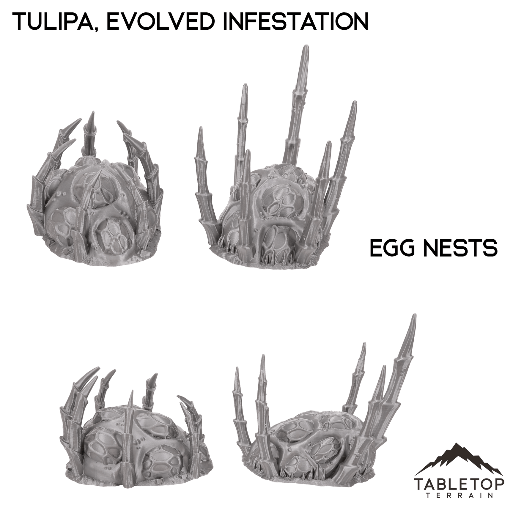 Tulipa, Evolved Infestation