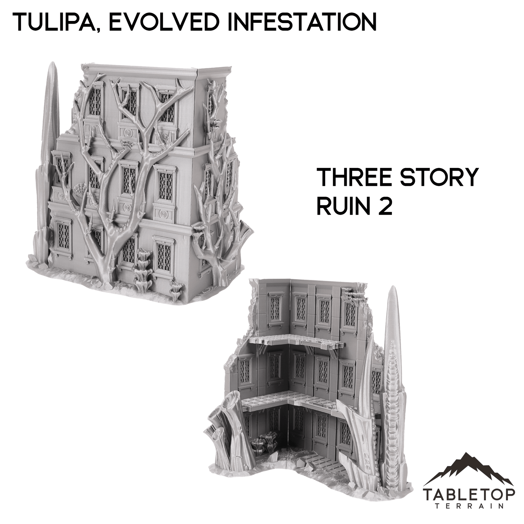 Tulipa, Evolved Infestation