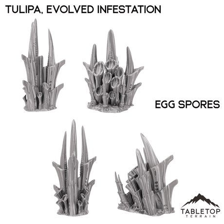 Tulipa, Evolved Infestation