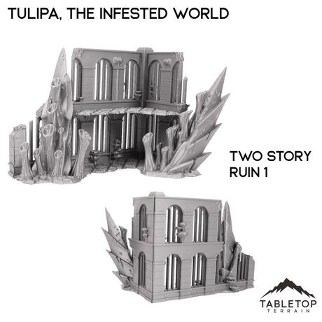 Tulipa, The Infested World